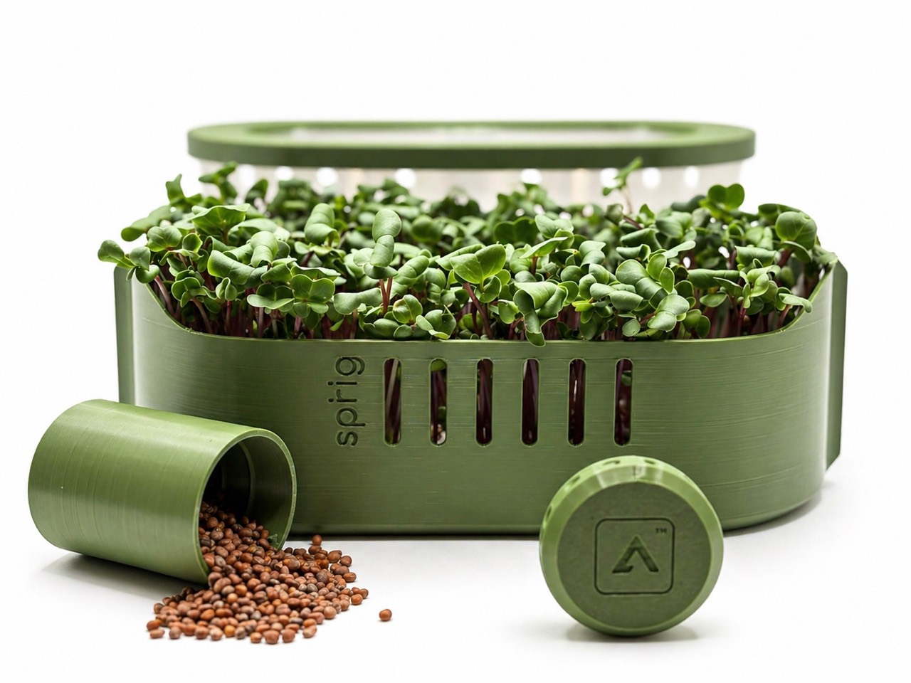 Sprig grower with seeds and microgreens